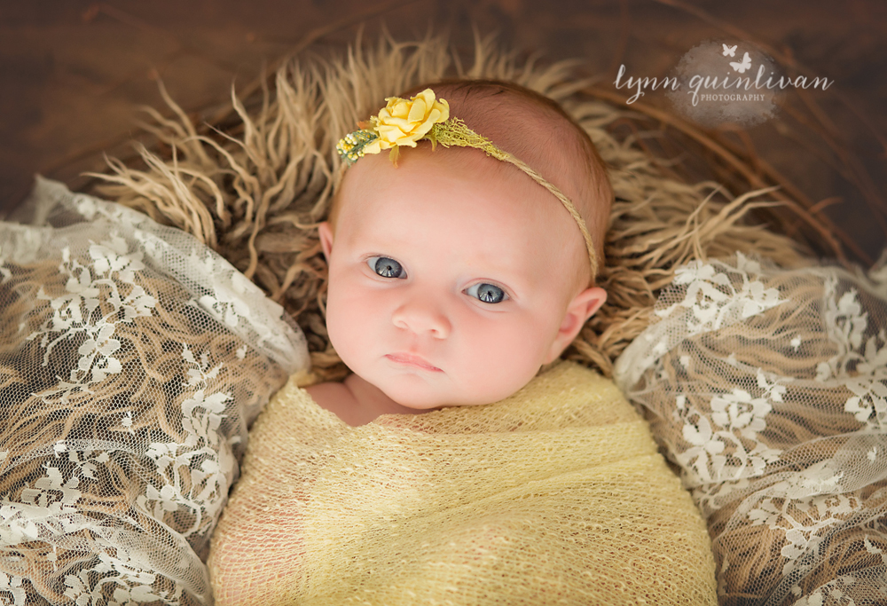 Newborn Photographer Near Me Lynn Quinlivan Photography