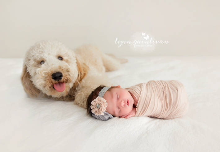 newborn and dog photography