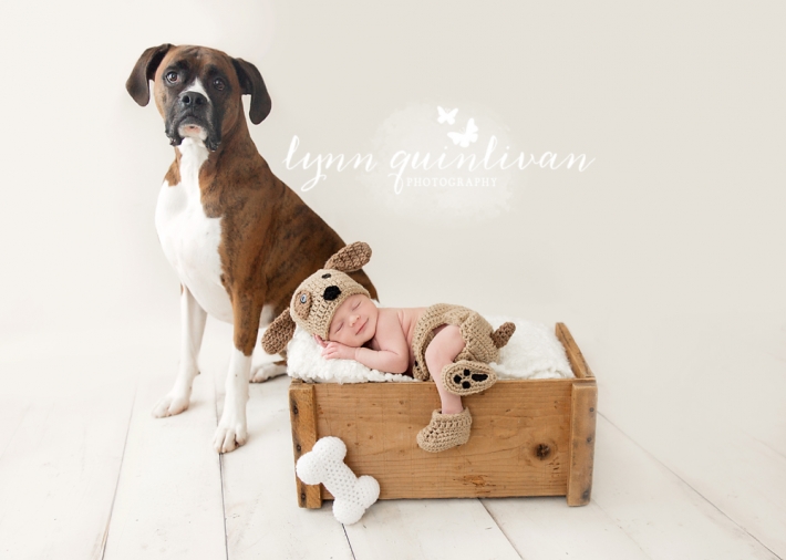 newborn and dog photography